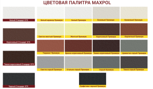 Раствор кладочный "MAXPOL" Стандарт G75, Белый – MAXPOL, 2